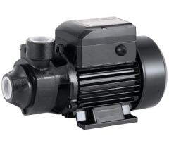 Вихревой насос Sprut QB60