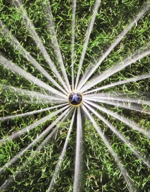 Форсунка RN-17-24F радиус 5,2 &ndash; 7,4м, сектор поливу 360&deg;