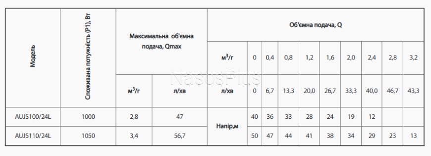 Насосная станция rudes AUJS100/24L - Фото 2 Насосная станция rudes AUJS100/24L