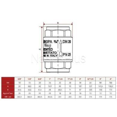 Клапан обратного хода воды ITAP 1&Prime; EUROPA 100