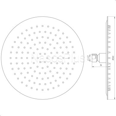 Душевая лейка Globus Lux STS-0250